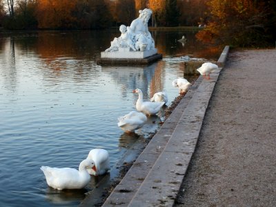 20111106Schlossgarten_Schwetzingen25