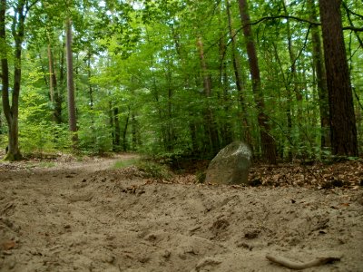 20110731Reilinger_Eck41