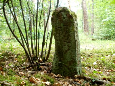 20110731Reilinger_Eck45