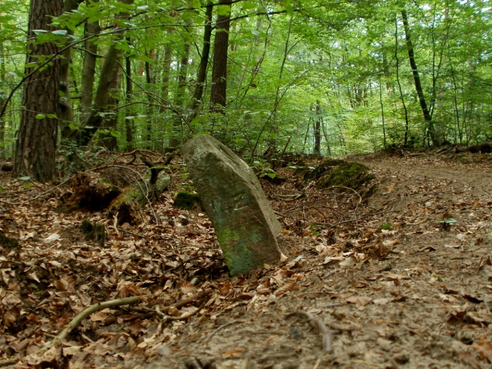 20110731Reilinger_Eck43