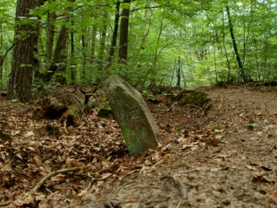 20110731Reilinger_Eck43