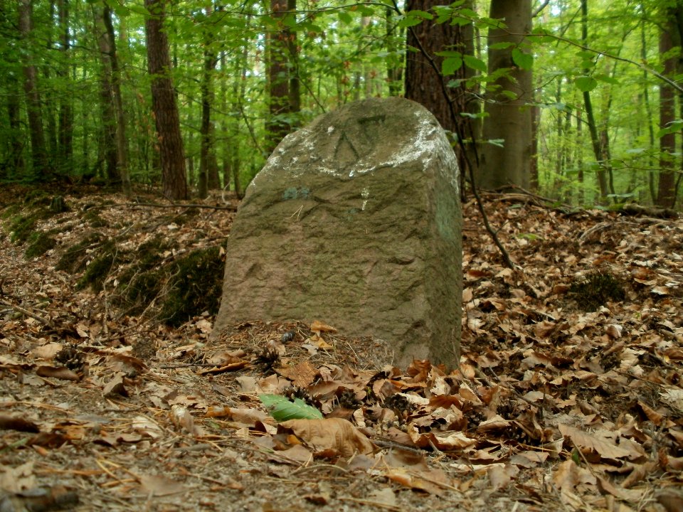 20110731Reilinger_Eck42