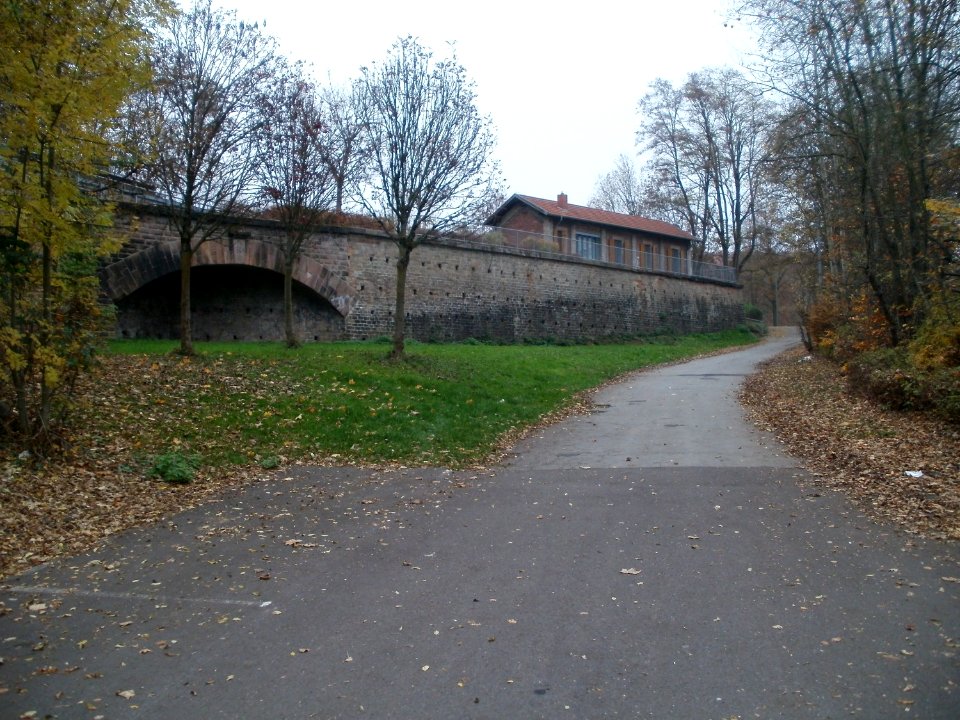 20111108Grube_Altenwald1