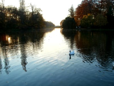 20111106Schlossgarten_Schwetzingen24