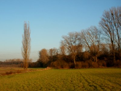 20111121Silz13