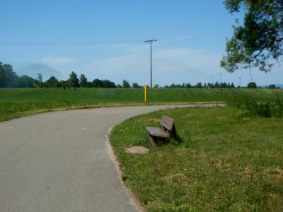 20120526Rasen_Altlussheim4
