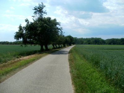 20120528Weg_Hockenheim_Marlach