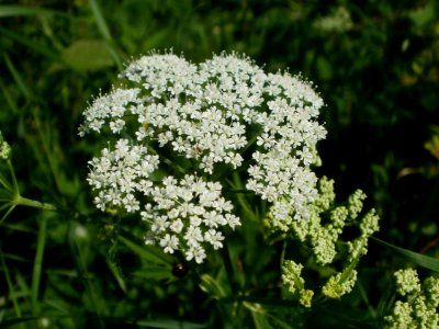 20120528Giersch_Hockenheim03
