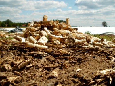 20120513Spargel_Hockenheim03