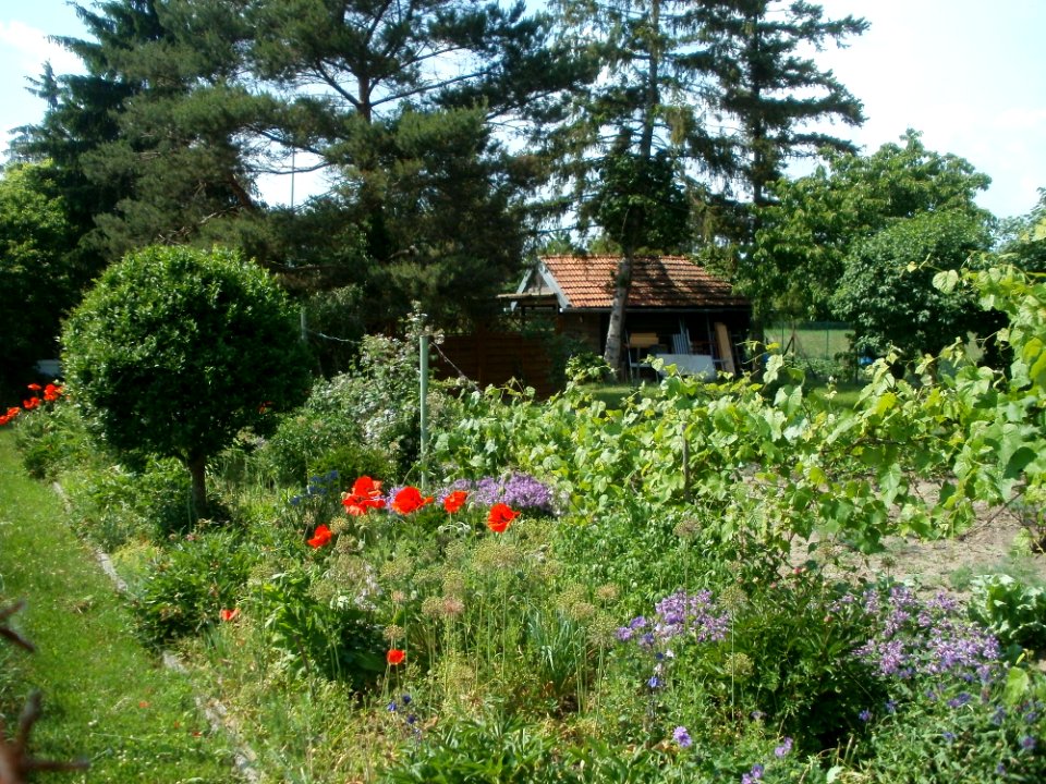 20120524Schrebergarten_Schwetzingen1