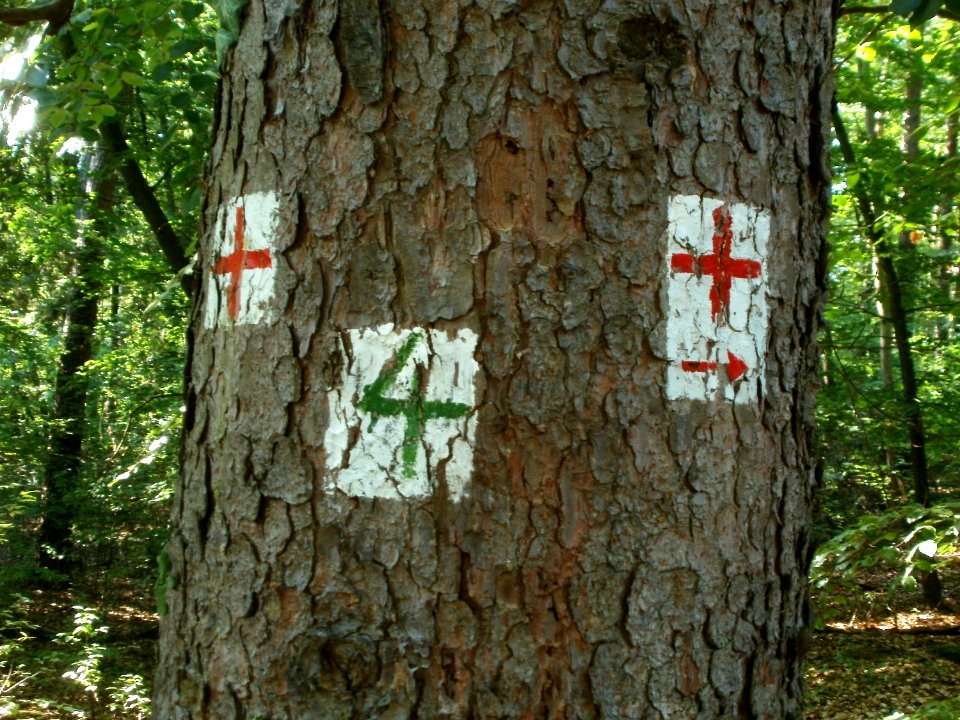 20120529Wegmarkierung_Kuehbrunnenweg2