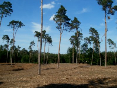 20120529Duene_Pumpwerkweg2