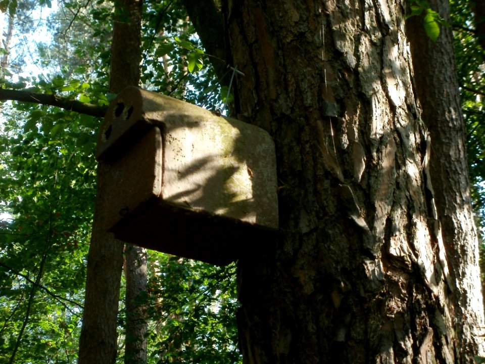 20120529Nistkasten_Schwetzinger_Hardt