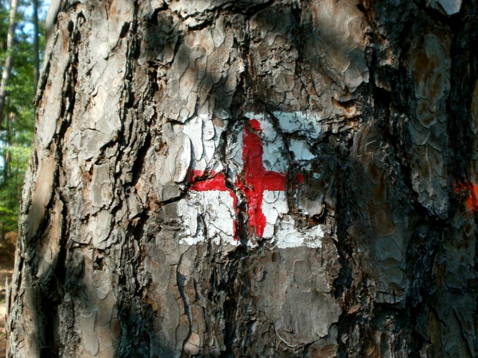 20120529Wegmarkierung_Pumpwerkweg1