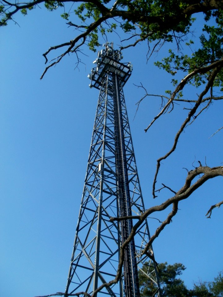 20120529Sendemast_Reilingen2
