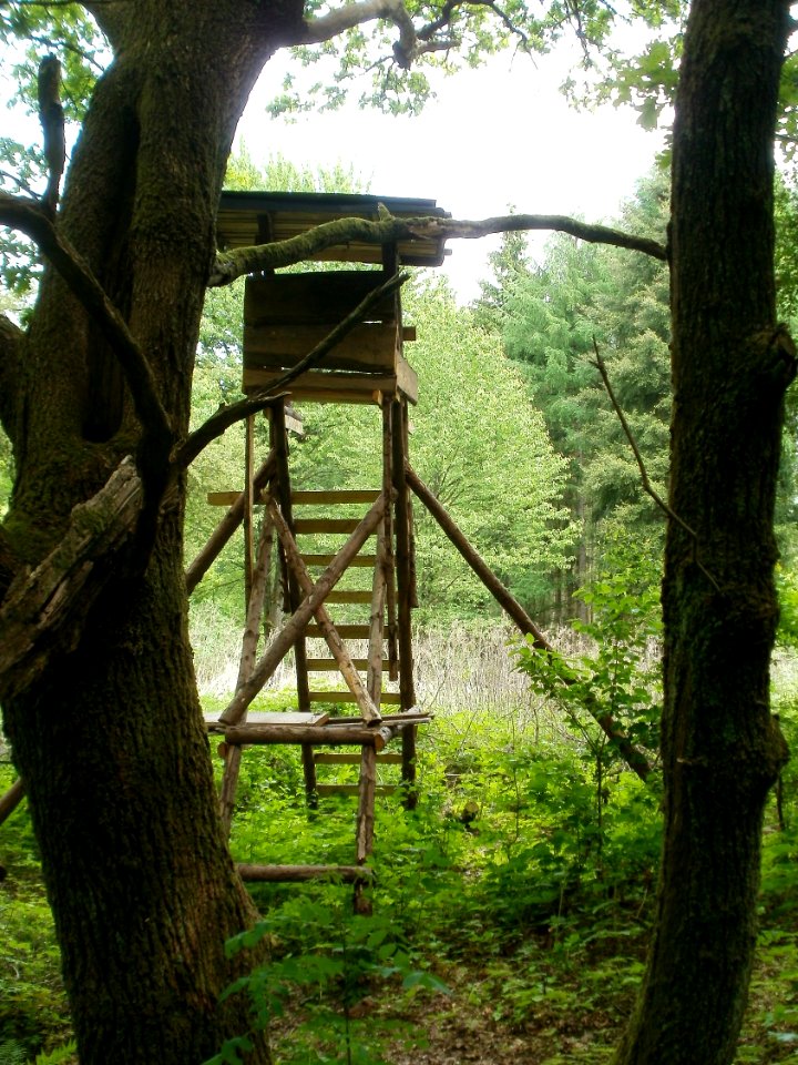 20120520Habsterhoehe_Saarbruecken1