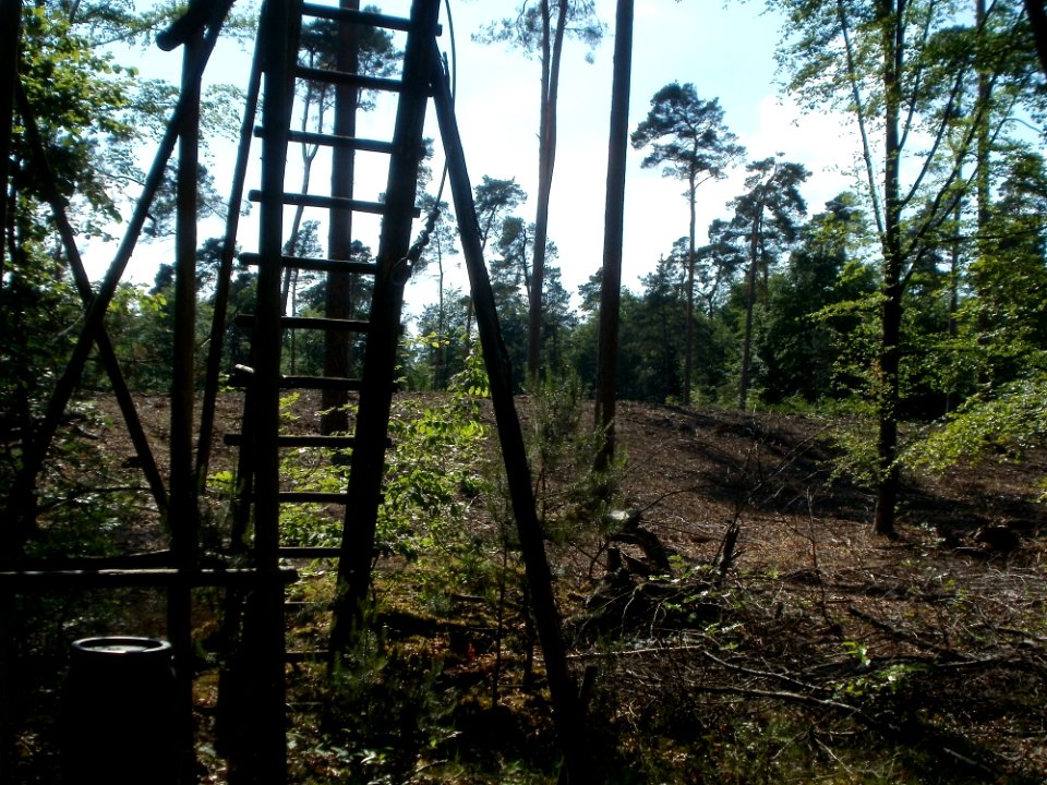 20120529Hochsitz_Pumpwerkweg5