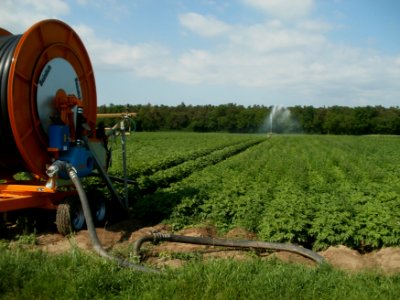 20120522Feldbewaesserung_Hockenheim2