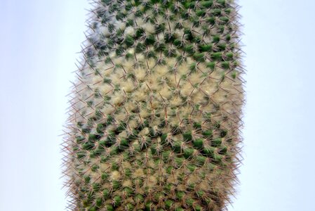 Layer light background needles