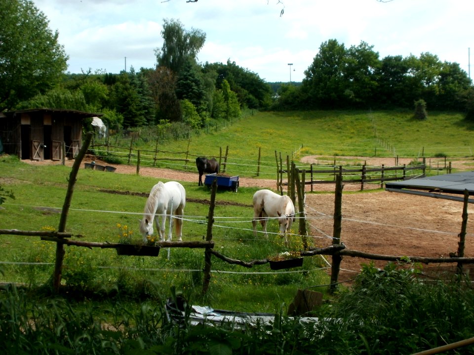 20120520Galgendell_Saarbruecken1