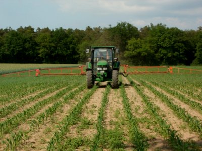 20120522Maisfeld_Hockenheim4