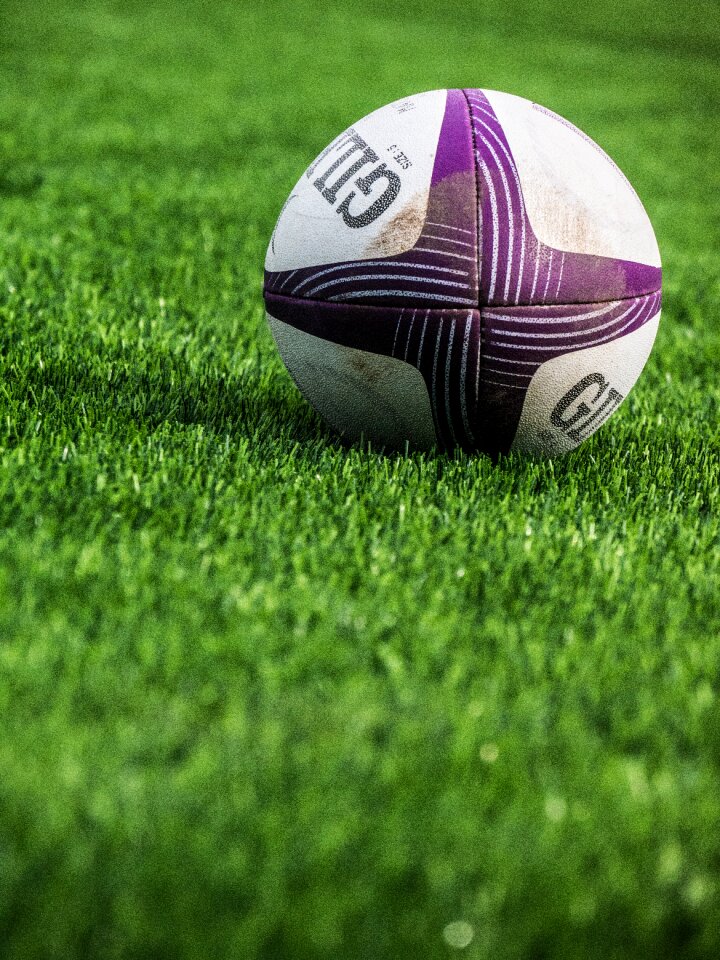 Grass leisure green