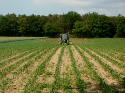 20120522Maisfeld_Hockenheim2