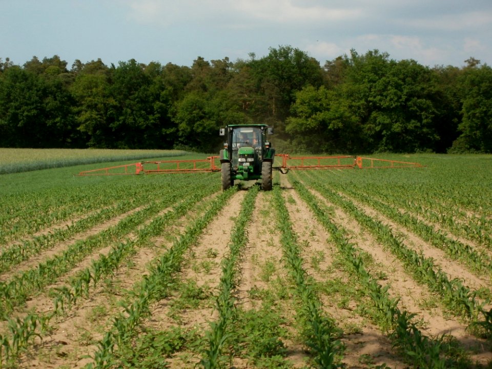 20120522Maisfeld_Hockenheim3