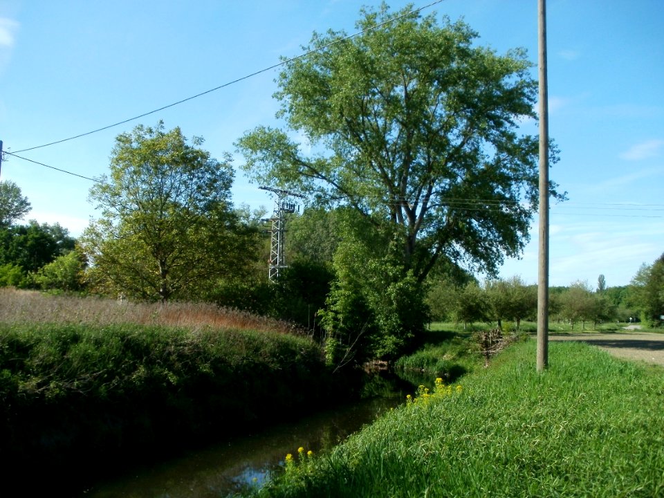 20120510Wagbach4