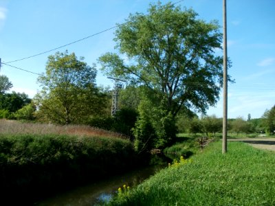 20120510Wagbach4