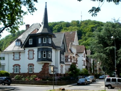 20120517Puccinistr_St_Arnual