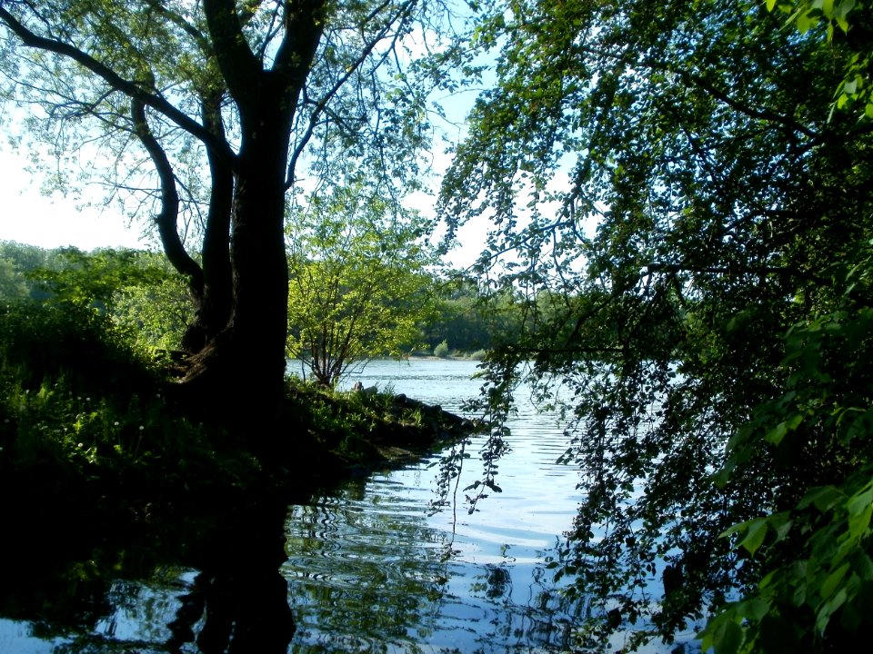 20120510Wagbach6