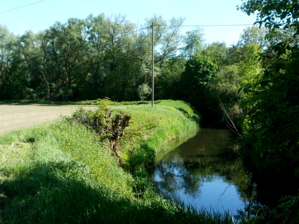 20120510Wagbach2