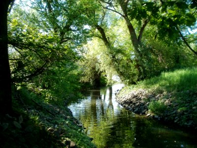 20120510Wagbach5
