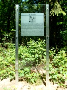 20120508Sternallee1
