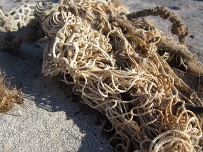 Sand flotsam close up