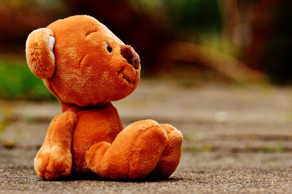 Stuffed animal teddy bear brown bear