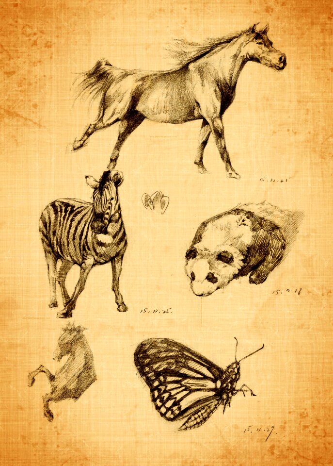 Contact pencil animal