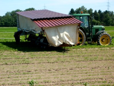 20120526Karotten_Altlussheim2