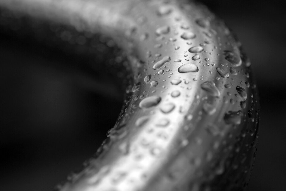 A drop of after the rain wet