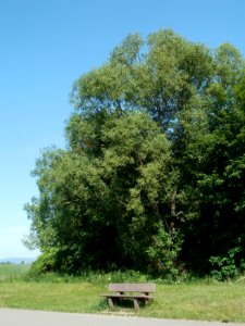 20120526Bank_Untere_Lusshardt