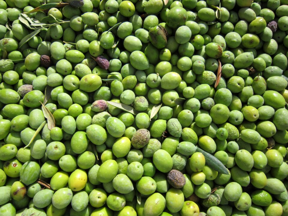 Green olives close up background