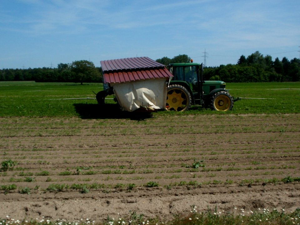20120526Karotten_Altlussheim1