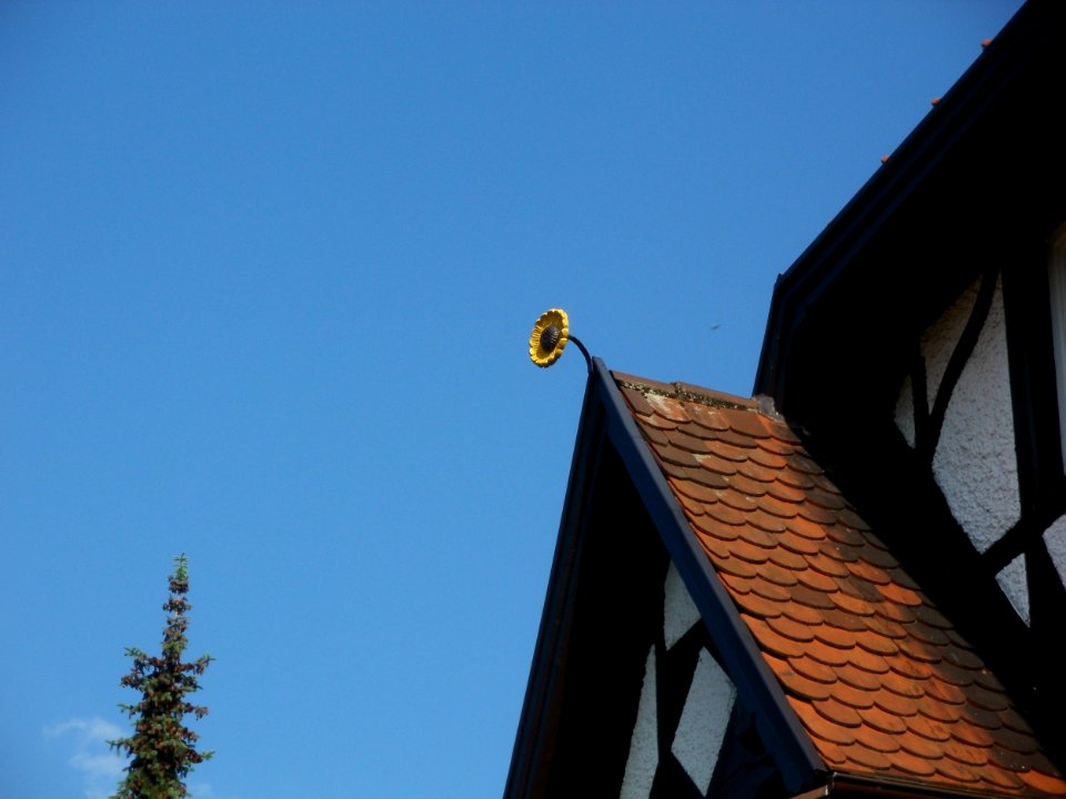 20120524Kurfuerstenstr30_Schwetzingen4