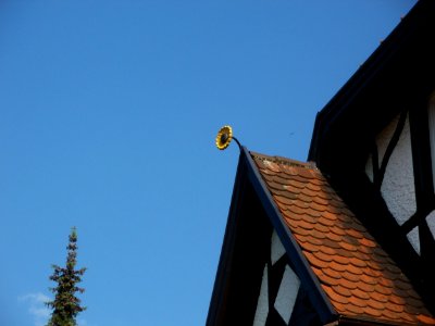 20120524Kurfuerstenstr30_Schwetzingen4