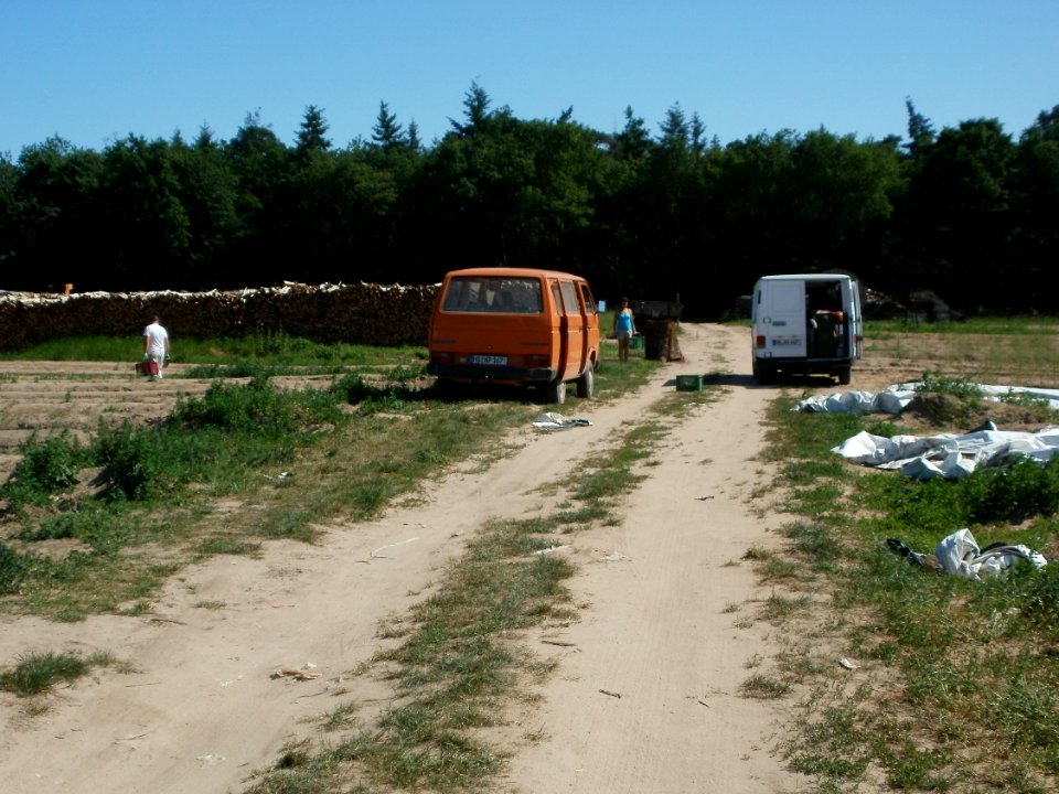 20120525Spargelernte_Ketsch4