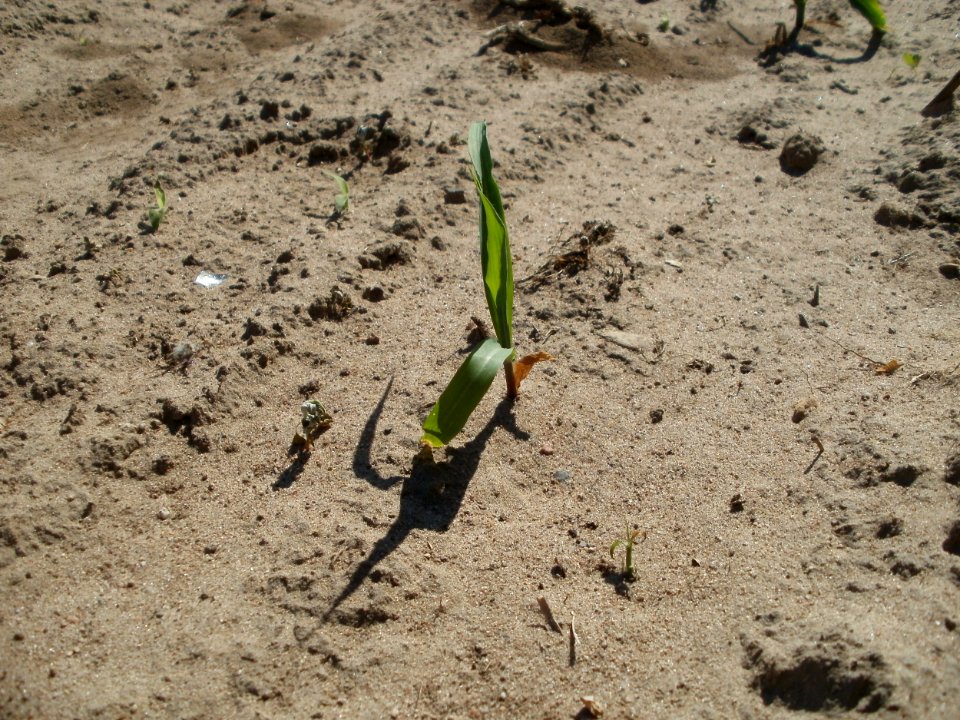 20120525Mais_Ketsch1