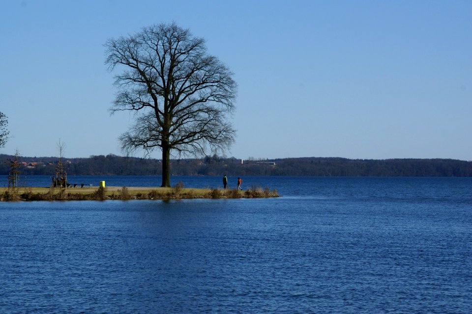 2012.02.26.123009_Baum_Schweriner_Innensee_Schwerin