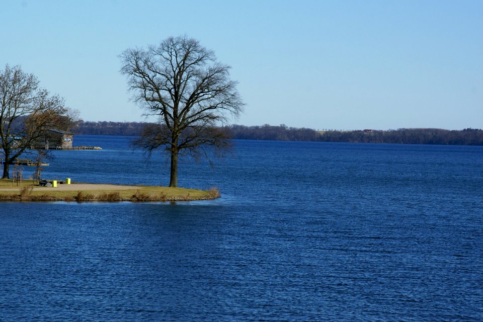 2012.02.26.123933_Baum_Schweriner_Innensee_Schwerin