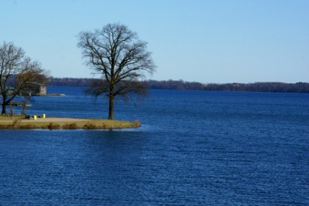 2012.02.26.123933_Baum_Schweriner_Innensee_Schwerin